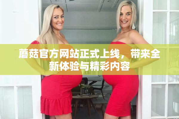 蘑菇官方网站正式上线，带来全新体验与精彩内容