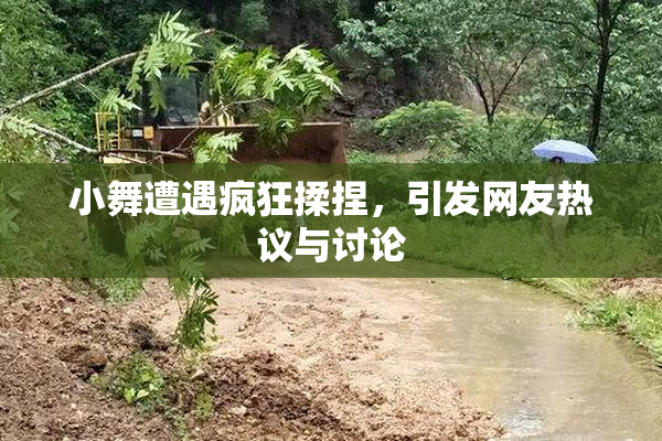 小舞遭遇疯狂揉捏，引发网友热议与讨论