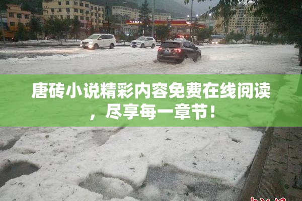 唐砖小说精彩内容免费在线阅读，尽享每一章节！