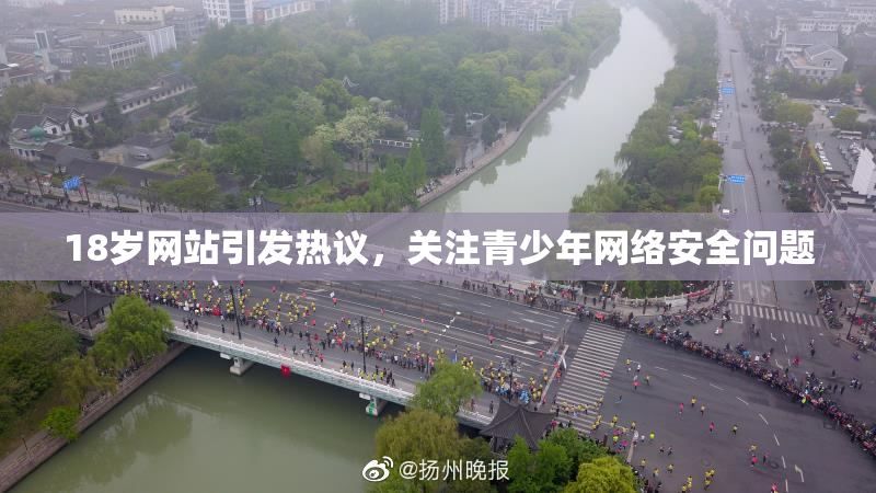 18岁网站引发热议，关注青少年网络安全问题