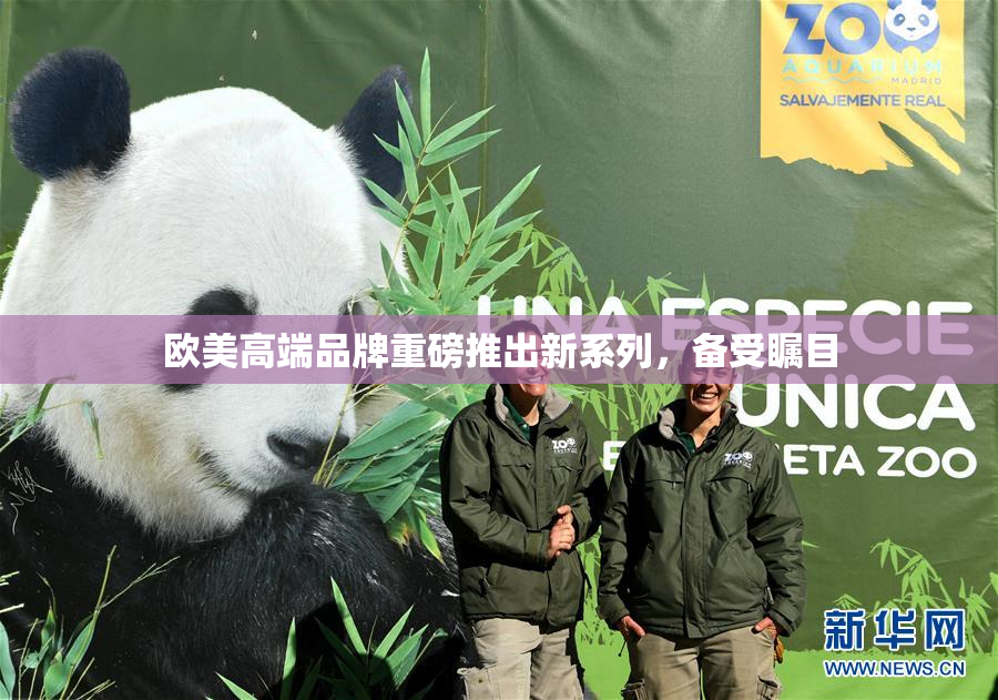 欧美高端品牌重磅推出新系列，备受瞩目