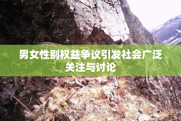 男女性别权益争议引发社会广泛关注与讨论