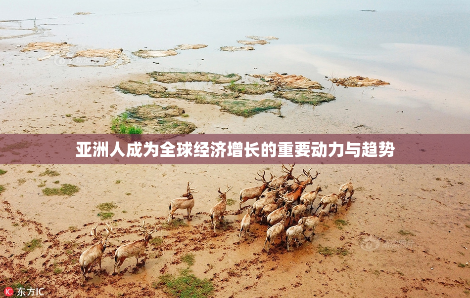 亚洲人成为全球经济增长的重要动力与趋势