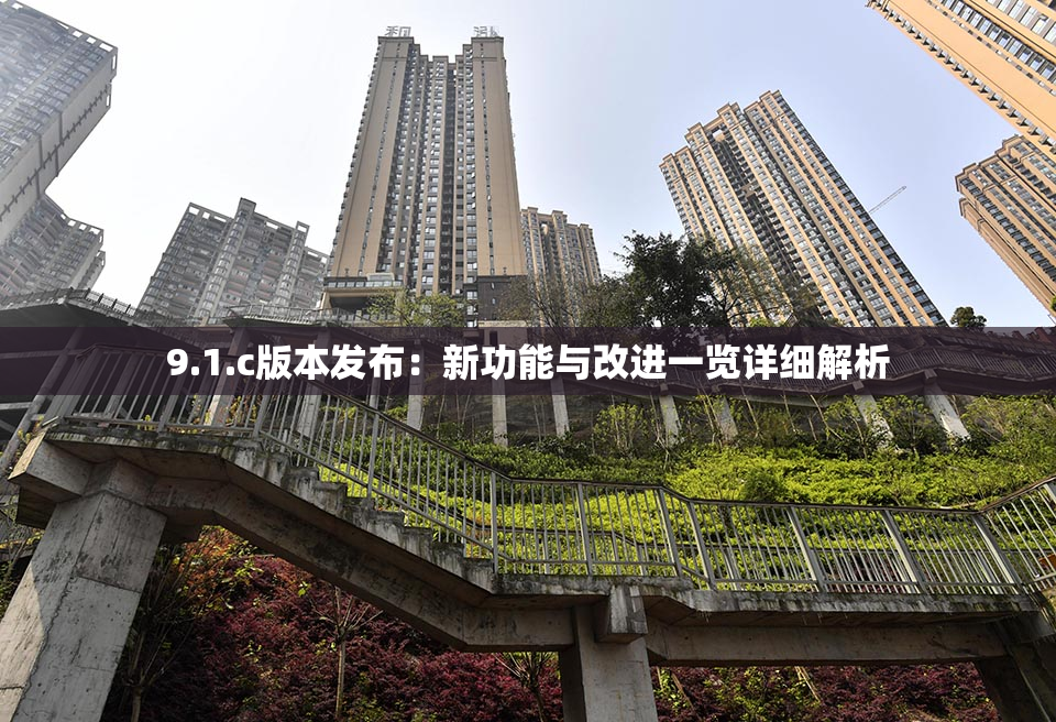 9.1.c版本发布：新功能与改进一览详细解析