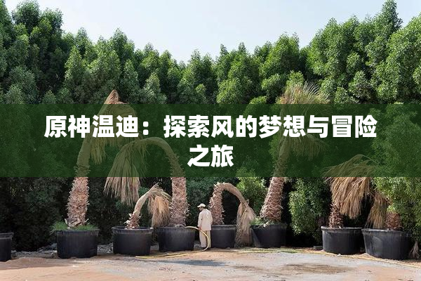 原神温迪：探索风的梦想与冒险之旅