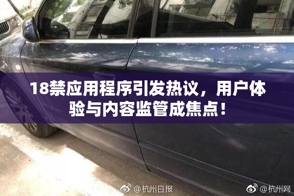 18禁应用程序引发热议，用户体验与内容监管成焦点！