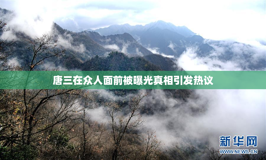 唐三在众人面前被曝光真相引发热议