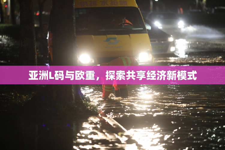 亚洲L码与欧重，探索共享经济新模式