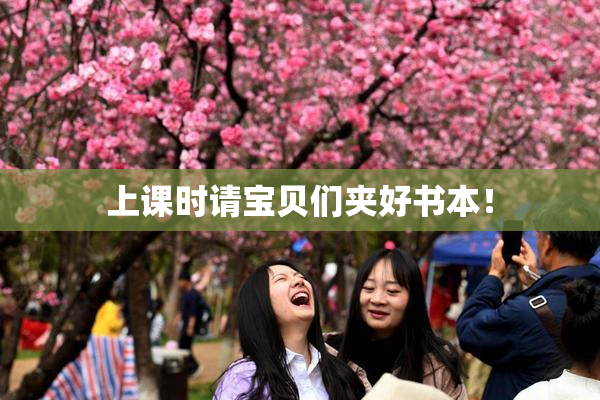上课时请宝贝们夹好书本！