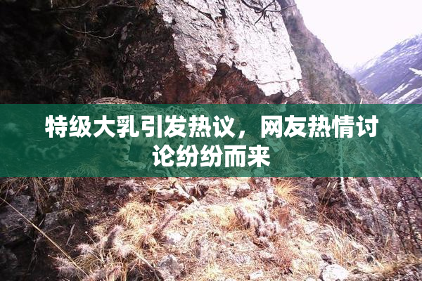 特级大乳引发热议，网友热情讨论纷纷而来
