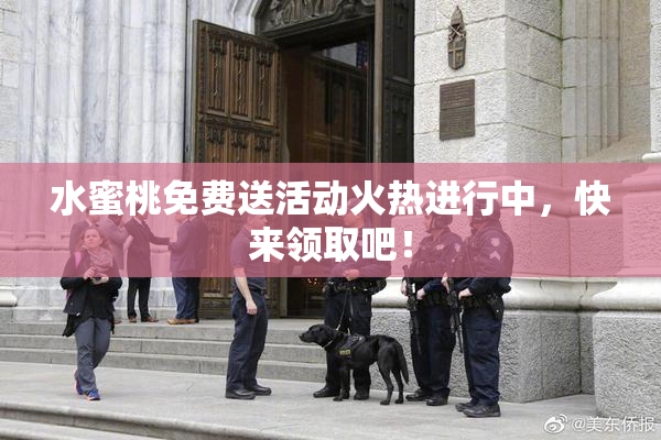 水蜜桃免费送活动火热进行中，快来领取吧！
