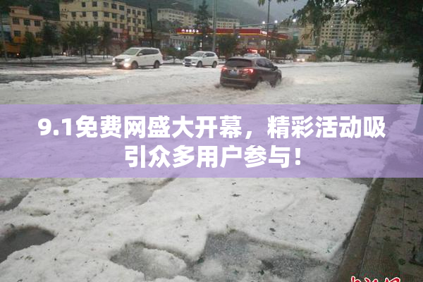 9.1免费网盛大开幕，精彩活动吸引众多用户参与！