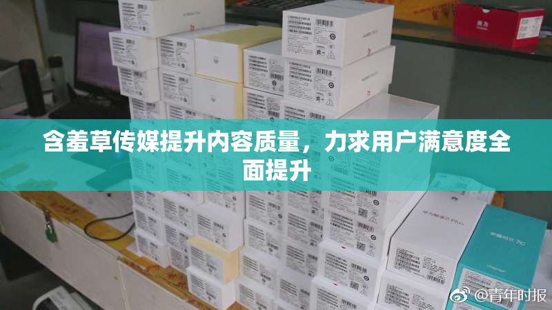 含羞草传媒提升内容质量，力求用户满意度全面提升