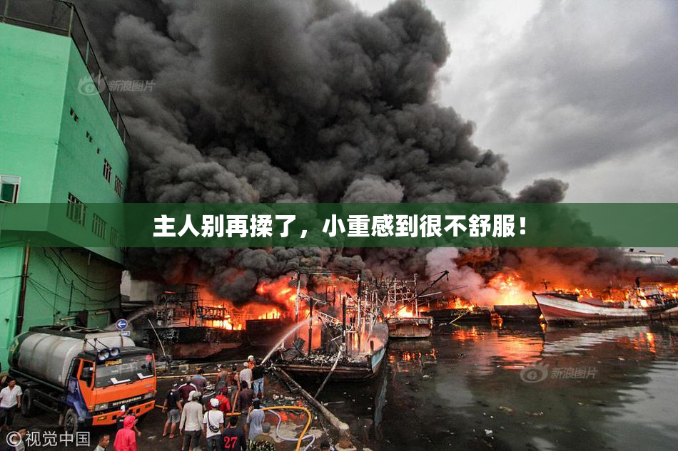 主人别再揉了，小重感到很不舒服！