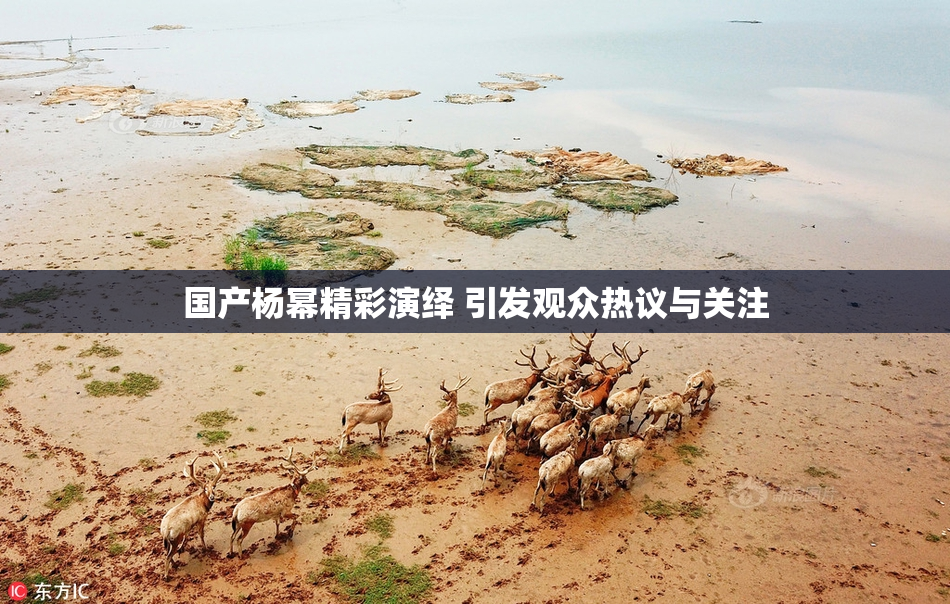 国产杨幂精彩演绎 引发观众热议与关注