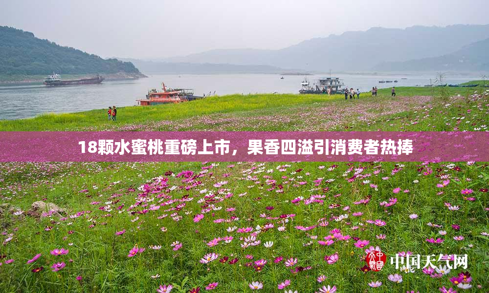 18颗水蜜桃重磅上市，果香四溢引消费者热捧