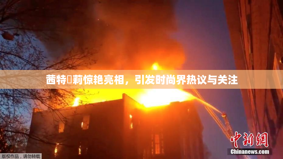 茜特菈莉惊艳亮相，引发时尚界热议与关注