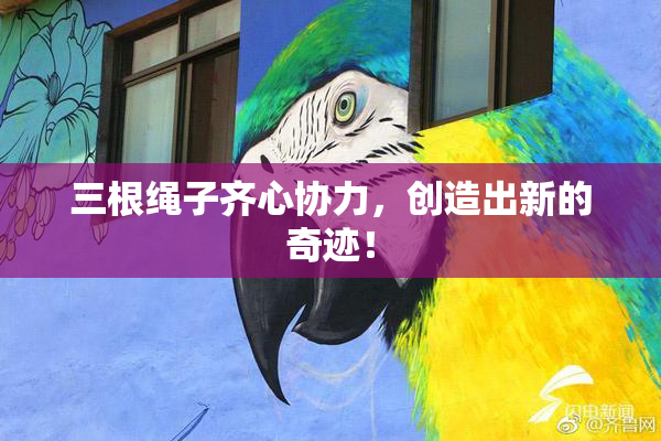 三根绳子齐心协力，创造出新的奇迹！