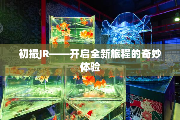 初撮JR——开启全新旅程的奇妙体验