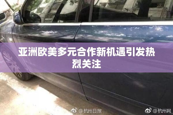 亚洲欧美多元合作新机遇引发热烈关注