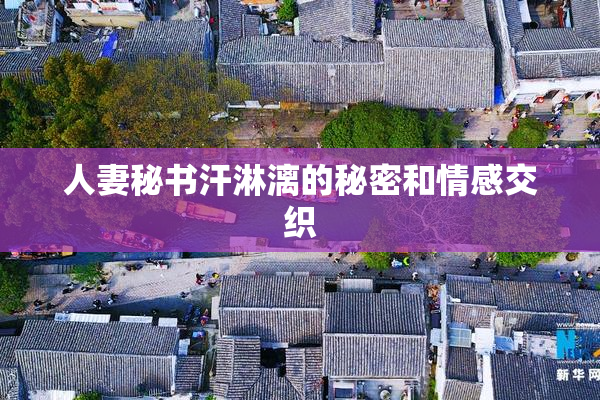 人妻秘书汗淋漓的秘密和情感交织