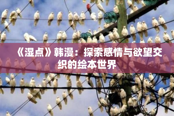 《湿点》韩漫：探索感情与欲望交织的绘本世界
