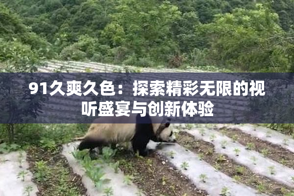 91久爽久色：探索精彩无限的视听盛宴与创新体验