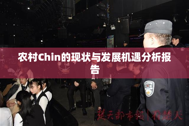 农村Chin的现状与发展机遇分析报告