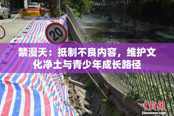 禁漫天：抵制不良内容，维护文化净土与青少年成长路径