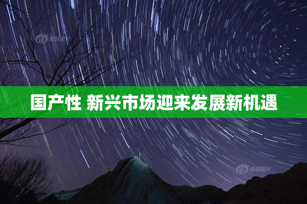 国产性 新兴市场迎来发展新机遇