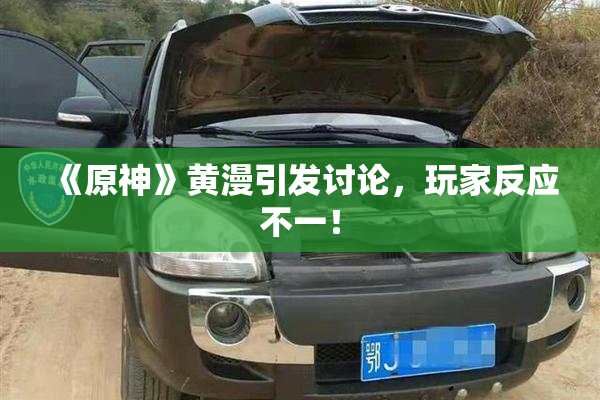 《原神》黄漫引发讨论，玩家反应不一！