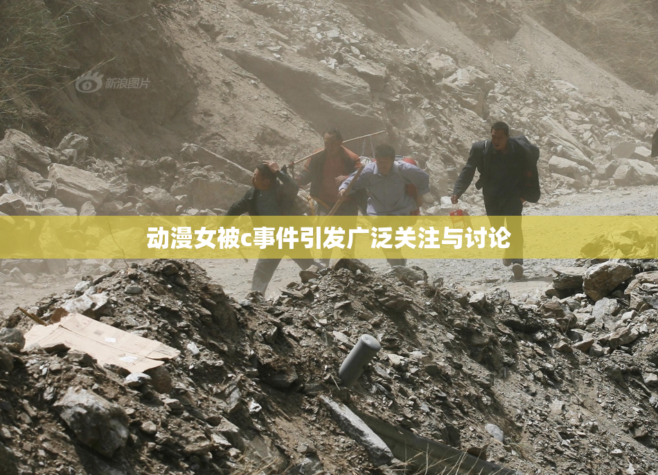 动漫女被c事件引发广泛关注与讨论