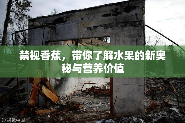禁视香蕉，带你了解水果的新奥秘与营养价值
