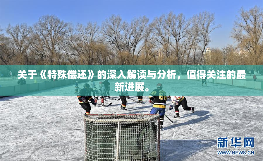关于《特殊偿还》的深入解读与分析，值得关注的最新进展。