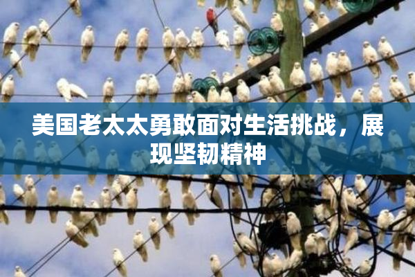 美国老太太勇敢面对生活挑战，展现坚韧精神