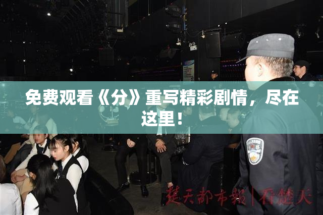 免费观看《分》重写精彩剧情，尽在这里！