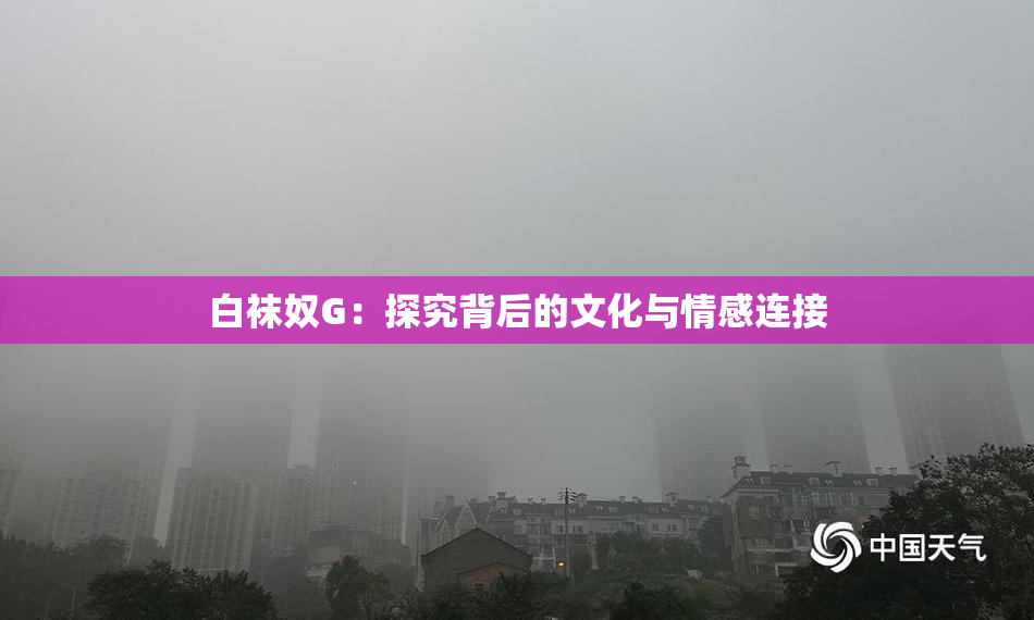 白袜奴G：探究背后的文化与情感连接