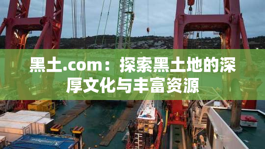 黑土.com：探索黑土地的深厚文化与丰富资源