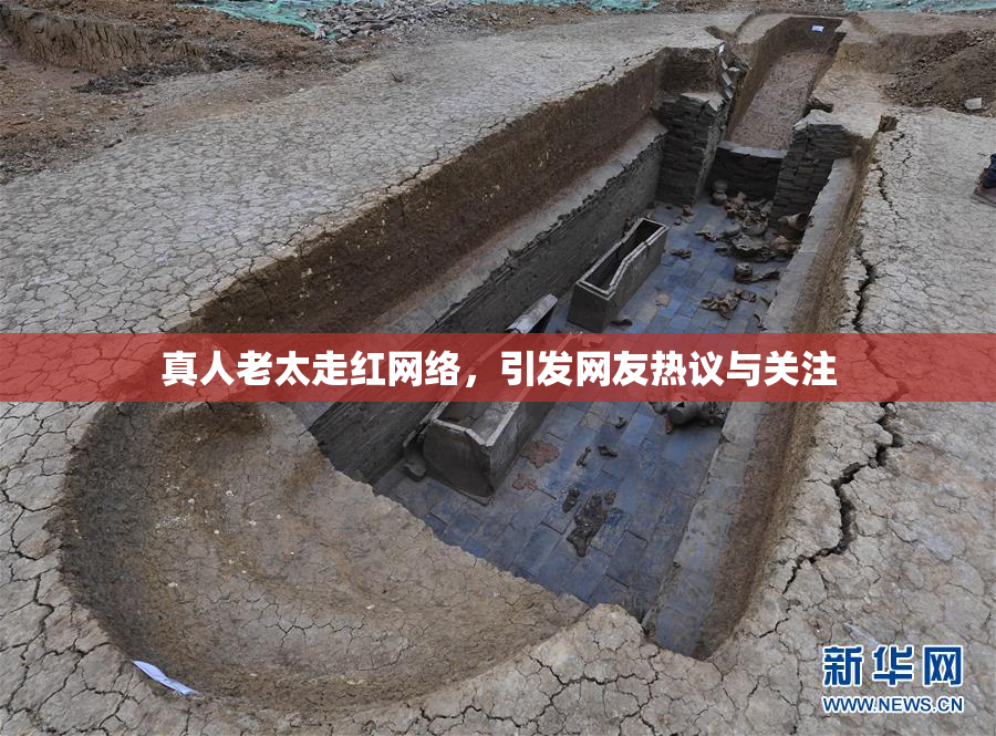 真人老太走红网络，引发网友热议与关注