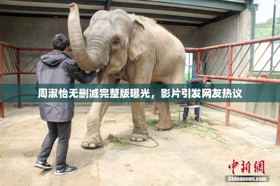 周淑怡无删减完整版曝光，影片引发网友热议