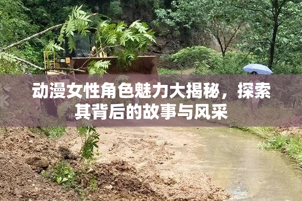 动漫女性角色魅力大揭秘，探索其背后的故事与风采