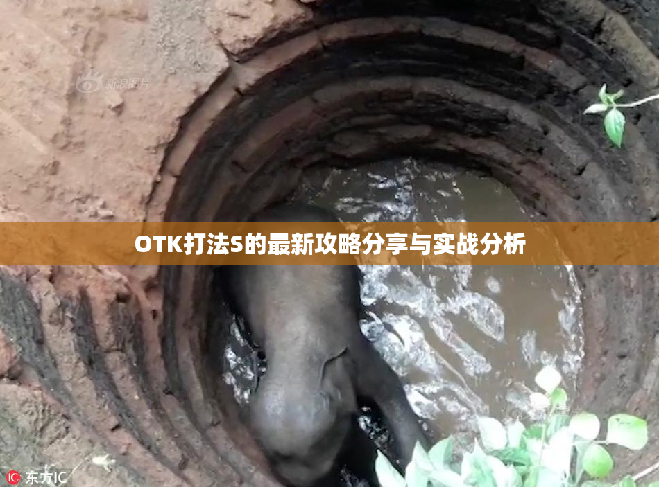 OTK打法S的最新攻略分享与实战分析