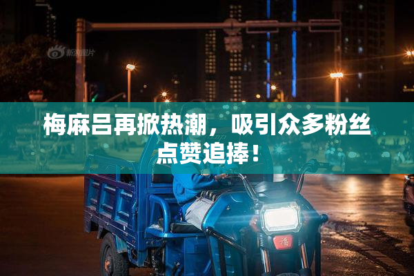 梅麻吕再掀热潮，吸引众多粉丝点赞追捧！