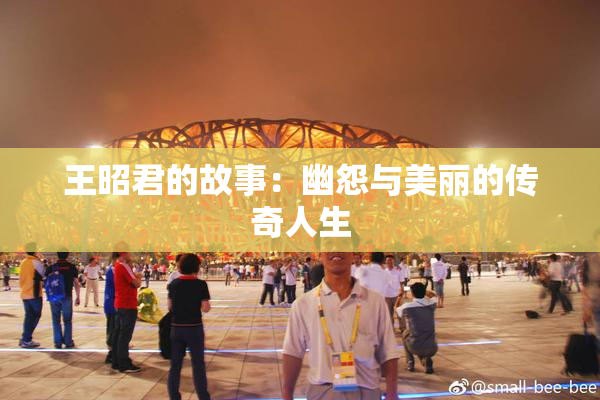 王昭君的故事：幽怨与美丽的传奇人生
