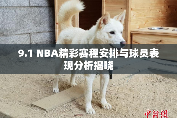 9.1 NBA精彩赛程安排与球员表现分析揭晓