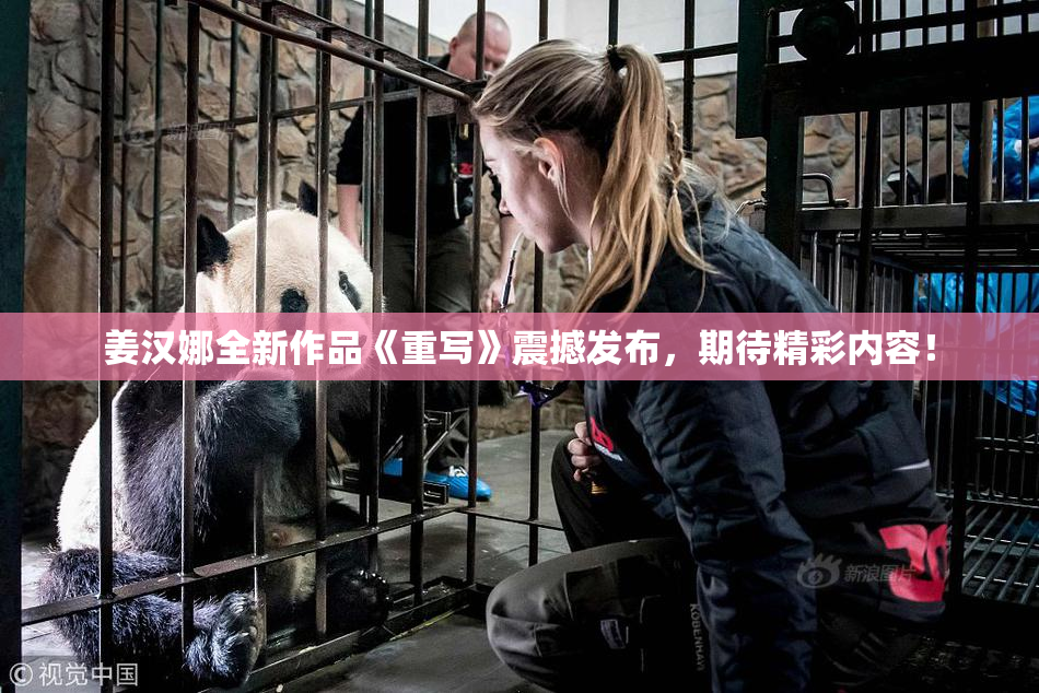 姜汉娜全新作品《重写》震撼发布，期待精彩内容！