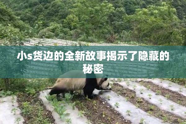 小s货边的全新故事揭示了隐藏的秘密