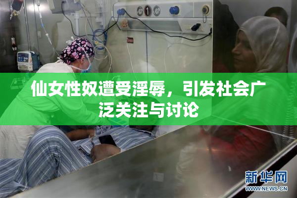 仙女性奴遭受淫辱，引发社会广泛关注与讨论