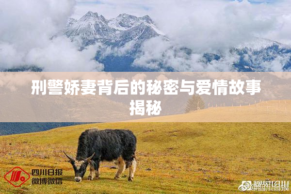 刑警娇妻背后的秘密与爱情故事揭秘
