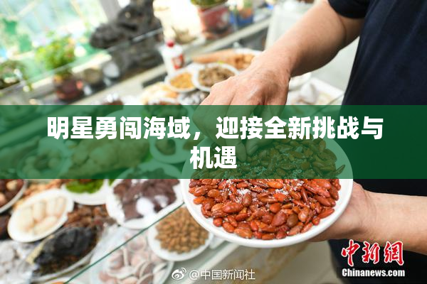 明星勇闯海域，迎接全新挑战与机遇